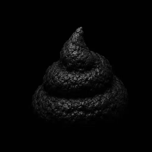 Bullshit Coin meme coin artwork