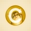 Catecoin meme coin artwork