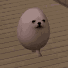 Eggdog meme coin artwork