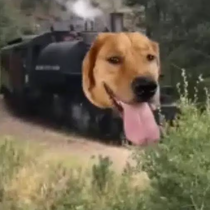traindog meme coin artwork