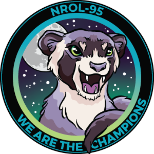 The SpaceX Ferret meme coin artwork