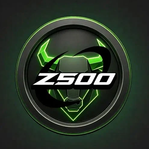 Z500 meme coin artwork